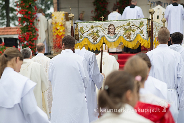 20150915 silines 5038 ms