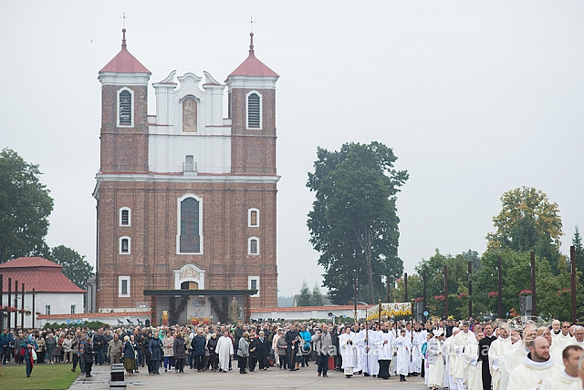 20150915 silines 5055 ms