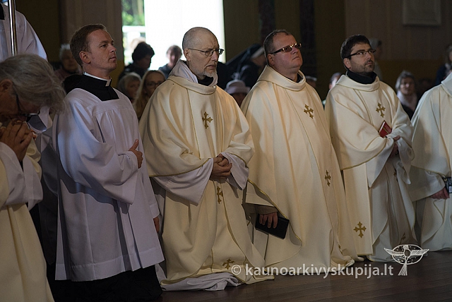 20150915 silines 5056 ms