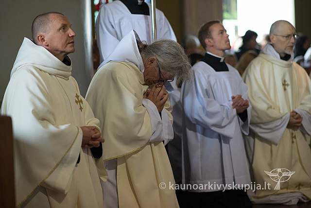 20150915 silines 5057 ms