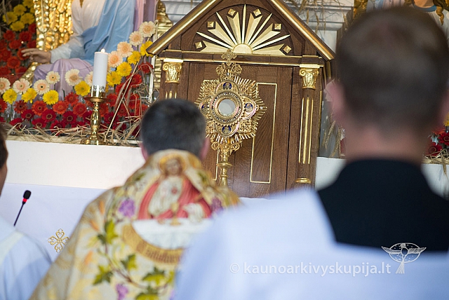 20150915 silines 5058 ms