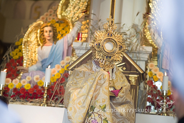 20150915 silines 5060 ms