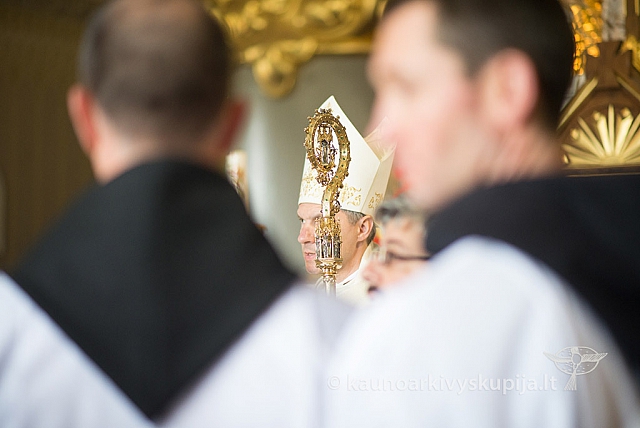 20150915 silines 5062 ms