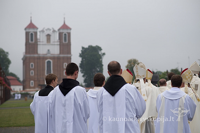 20150915 silines 5067 ms