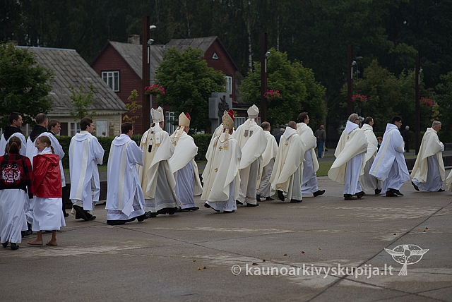 20150915 silines 5074 ms