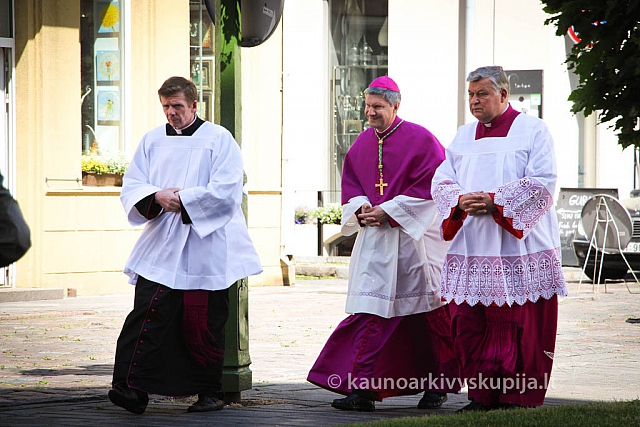 20150711 lv-ingresas 5115 ev