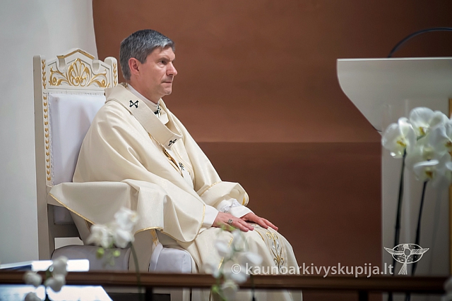 20150711 lv-ingresas 5733 kk