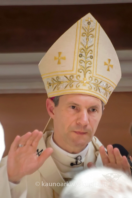 20150711 lv-ingresas 5738 kk