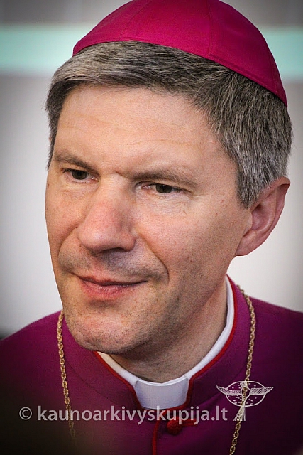 20150711 lv-ingresas 6790 ev