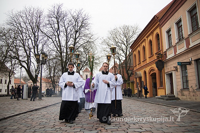 20151213 kn-k gjd 0269 ms