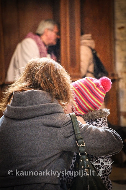 20151213 kn-k gjd 0414 ev