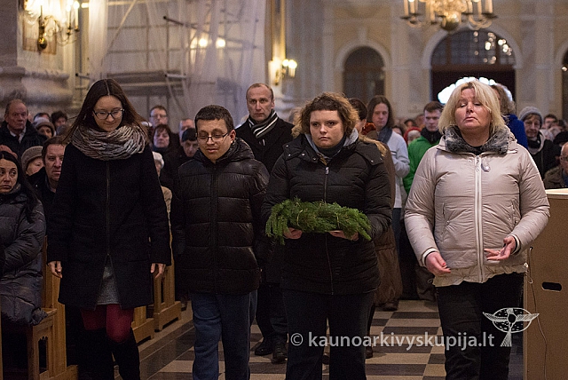 20151213 kn-k gjd 0495 ms