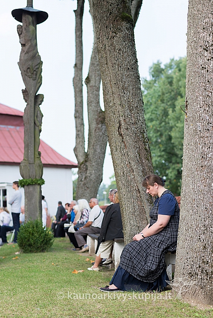 20160910 silines 8317 ms