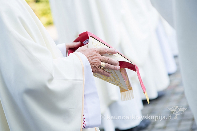 20160910 silines 8364 ms