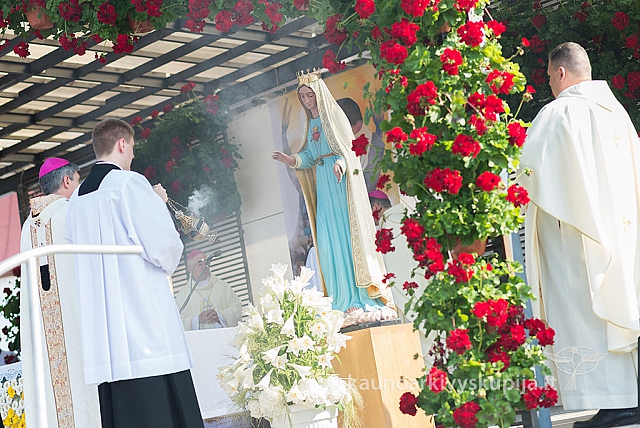 20160910 silines 8394 ms