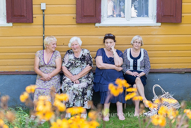 20160910 silines 8399 ms