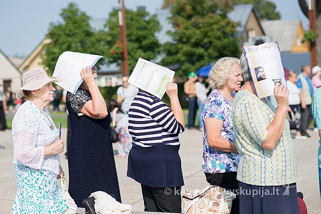 20160910 silines 8403 ms