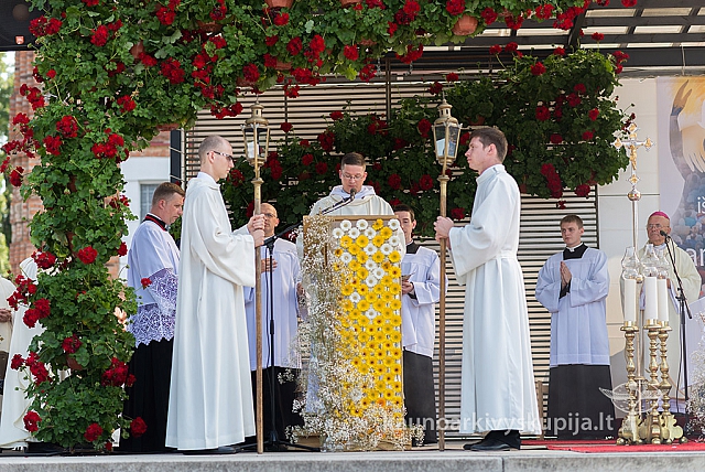 20160910 silines 8414 ms