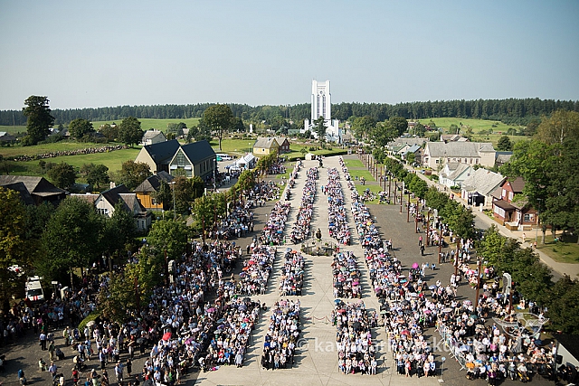 20160910 silines 8419 ms