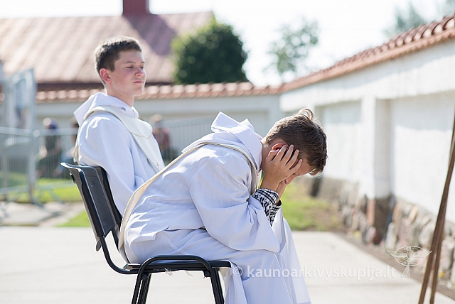 20160910 silines 8426 ms