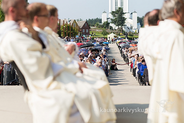 20160910 silines 8428 ms