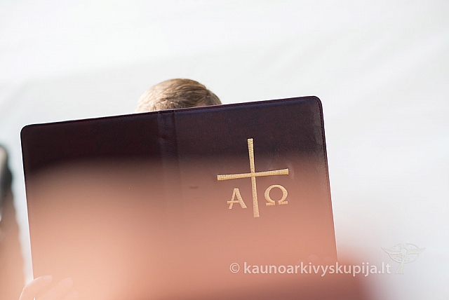 20160910 silines 8436 ms