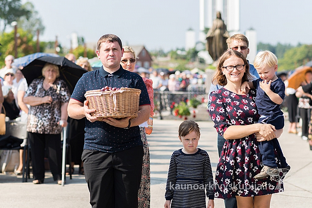 20160910 silines 8460 ms