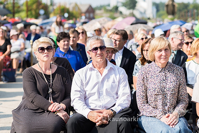 20160910 silines 8461 ms