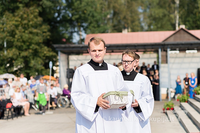 20160910 silines 8479 ms