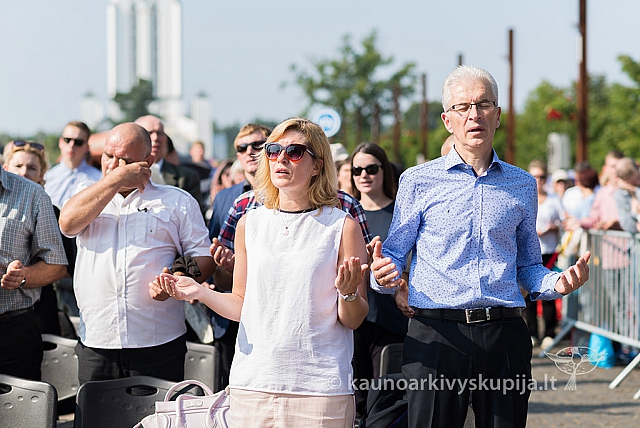 20160910 silines 8501 ms