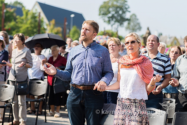 20160910 silines 8502 ms