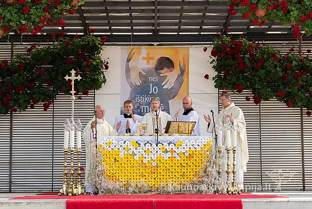 20160910 silines 8507 ms