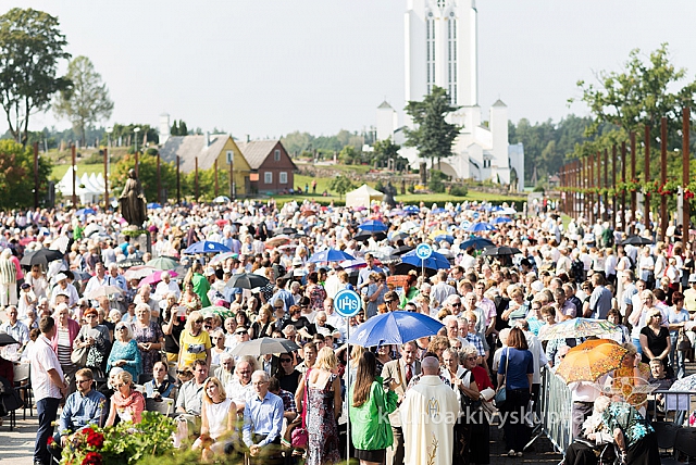 20160910 silines 8520 ms