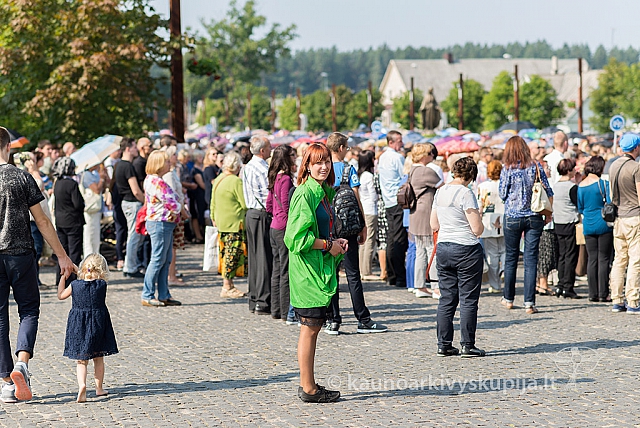 20160910 silines 8556 ms