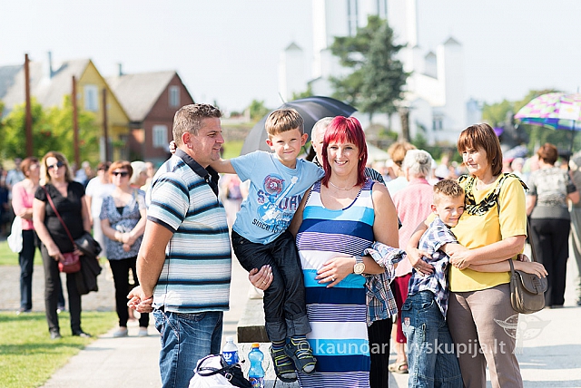 20160910 silines 8569 ms