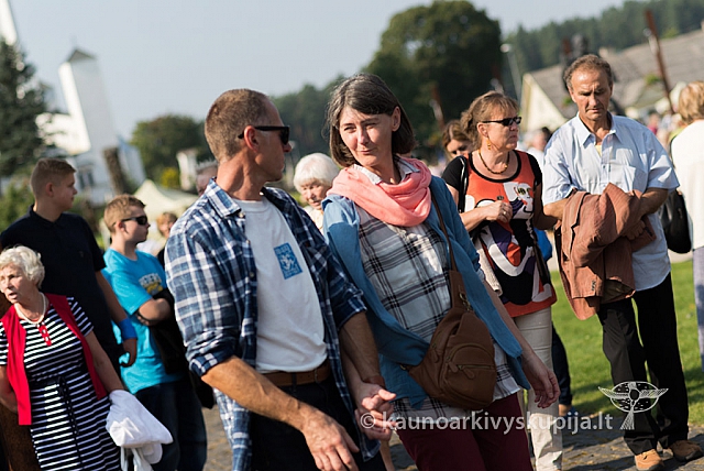 20160910 silines 8589 ms