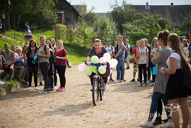 20160910 silines 8656 ms