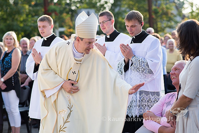 20160910 silines 8716 ms