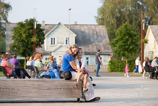 20160910 silines 8731 ms