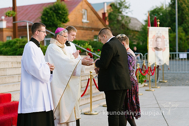 20160910 silines 8746 ms