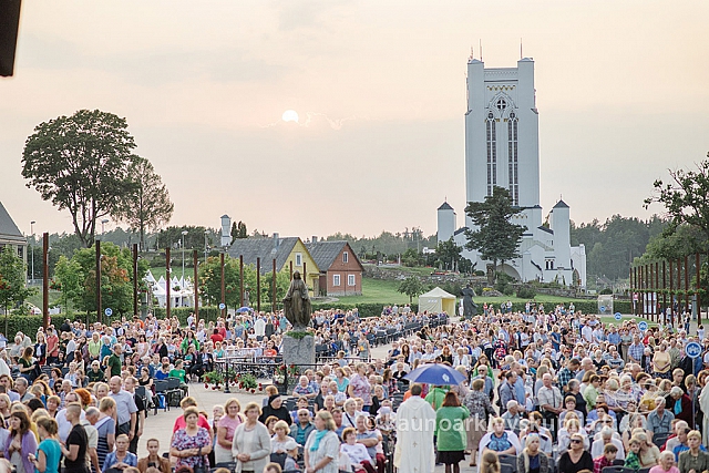 20160910 silines 8780 ms