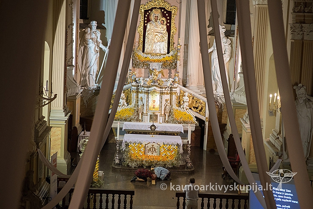 20160910 silines 8850 ms