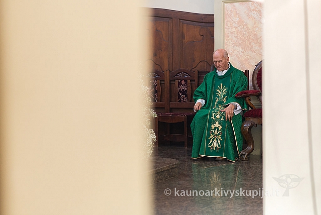 20160911 silines 9175 ms