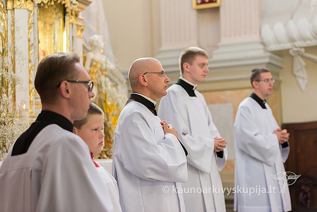 20160911 silines 9205 ms