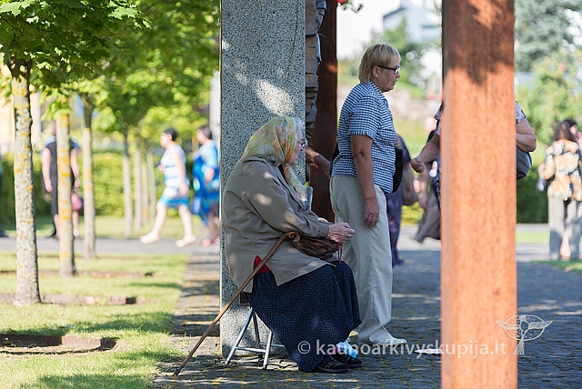 20160911 silines 9217 ms