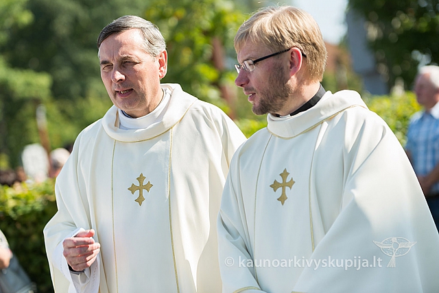 20160911 silines 9264 ms