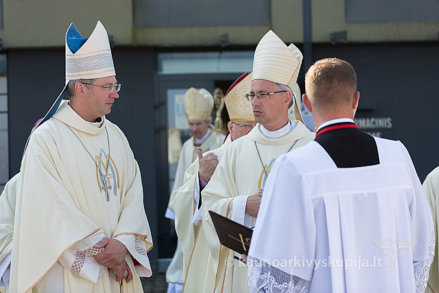 20160911 silines 9271 ms