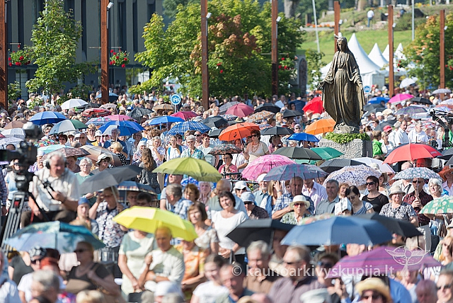 20160911 silines 9309 ms