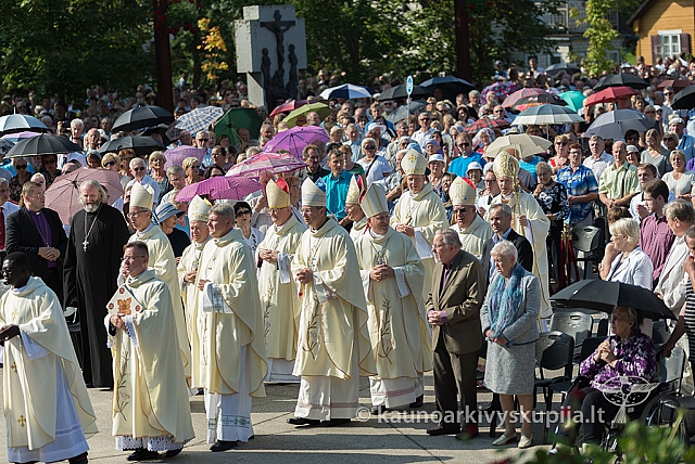 20160911 silines 9327 ms