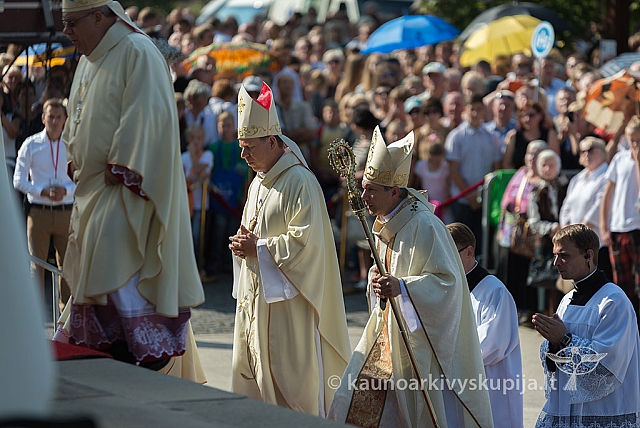 20160911 silines 9331 ms